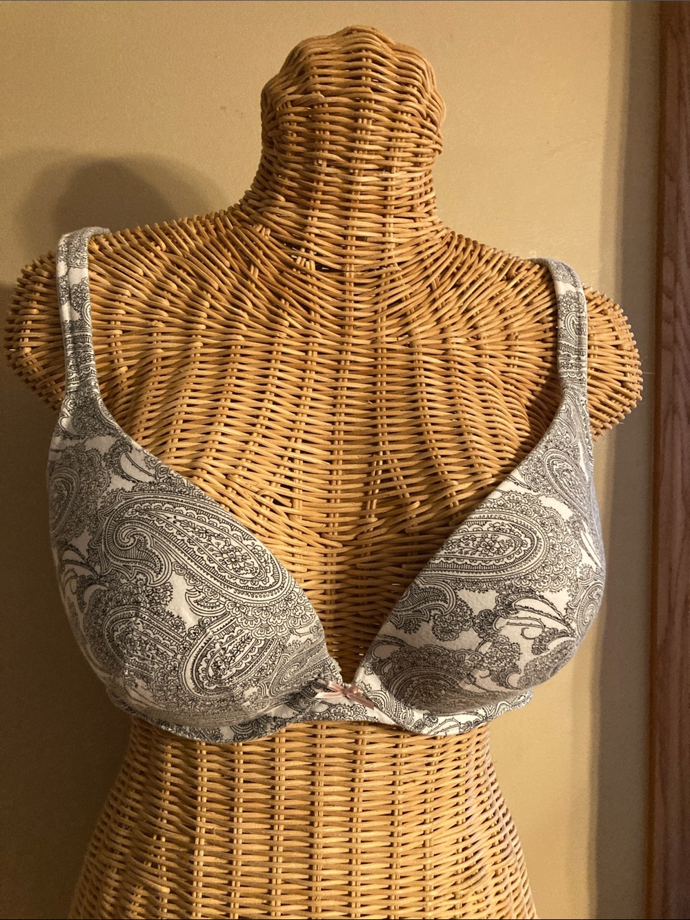 Cacique Women's Paisley Plunge Bra - Gray & White 40C